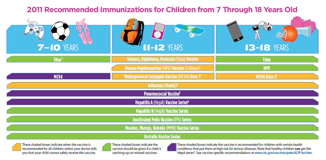 How do you find a CDC immunization chart online?